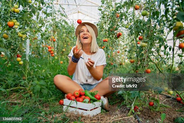 joyful positive woman playing with a tomatoes in the garden. - throwing tomatoes stock pictures, royalty-free photos & images