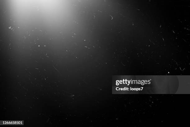Dust Particles Window Photos and Premium High Res Pictures - Getty Images