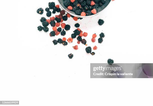 fresh blackberries and raspberries on white background - mulberry stock pictures, royalty-free photos & images