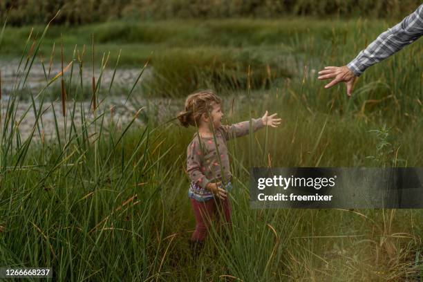 cute girl standing in tall grass - timothy grass stock pictures, royalty-free photos & images