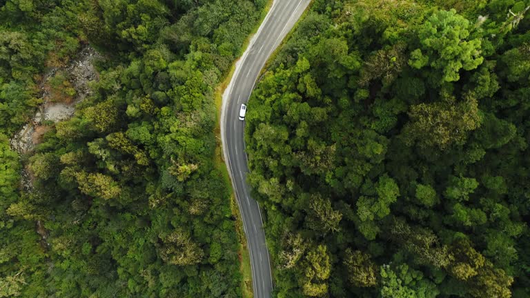 https://media.gettyimages.com/id/1266672073/video/aerial-view-of-road-through-forest.jpg?b=1&s=640x640&k=20&c=H0jSsgcBGQhHhTt2FXBJB3wjiobsYZTwDMct1aE0efw=
