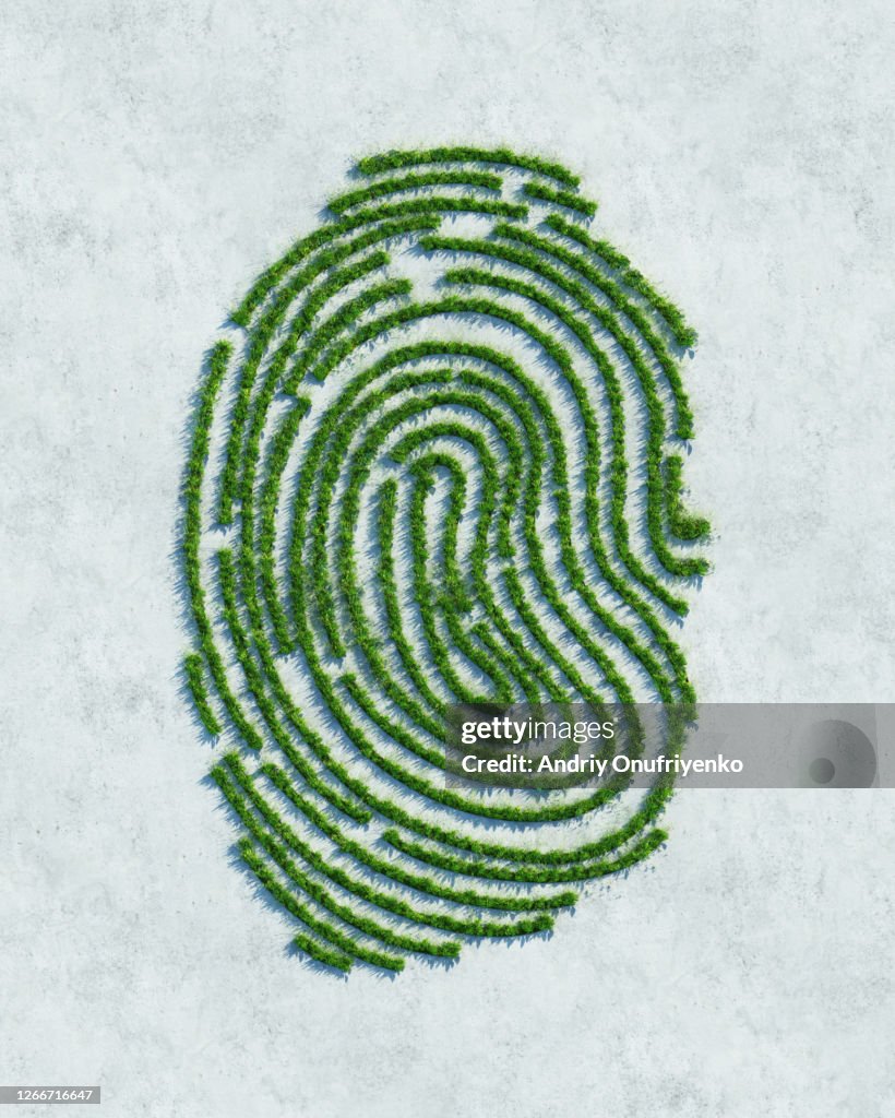 Green fingerprint
