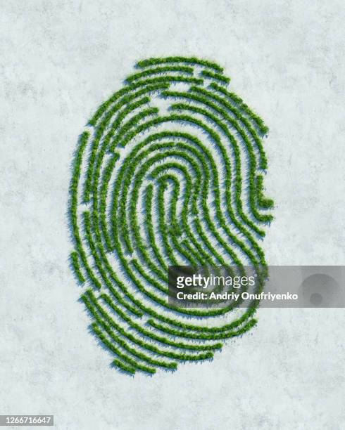 green fingerprint - accord concepts fotografías e imágenes de stock