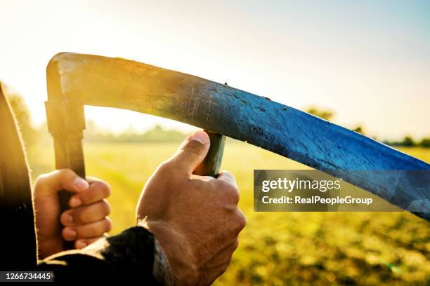 scythe sharpening, close up - sickle stock pictures, royalty-free photos & images