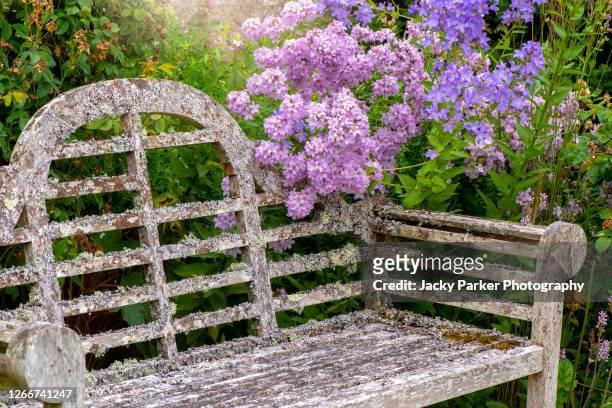 close-up image of a rustic/shabby chic wooden garden bench surrounded by colourful summer flowers in an english garden - shabby chic stock pictures, royalty-free photos & images