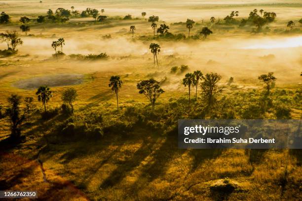 the aerial view of a landscape in mist at okavango delta, botswana - botswana bildbanksfoton och bilder