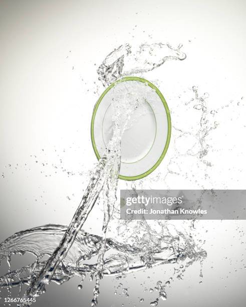 887 Floating Plates Stock Photos, High-Res Pictures, and Images - Getty ...