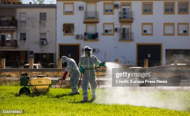 Two workers during spraying work against mosquitoes causing the Nile virus in Coria del Rio, on August 17, 2020 in Sevilla, Andalucia, Spain.