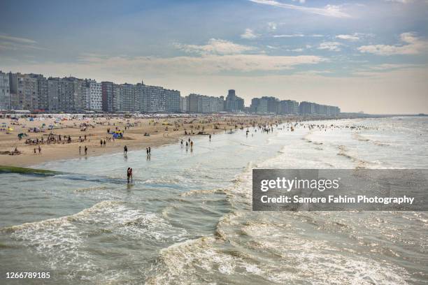 high angle view of a beach during summer - blankenberge stock pictures, royalty-free photos & images