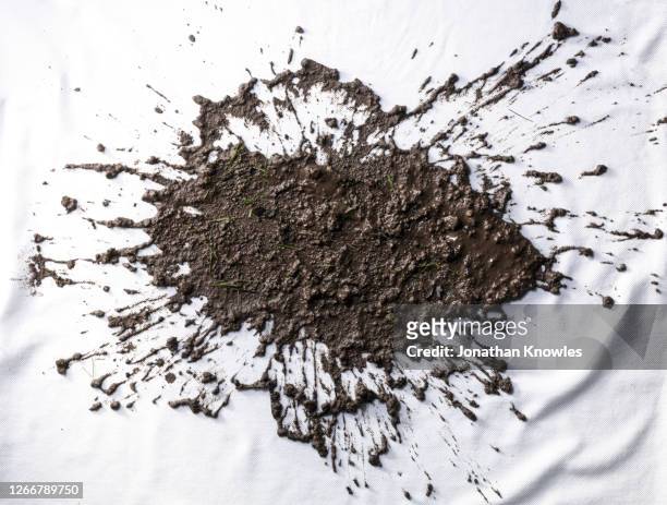 mud splatter - shirt no people foto e immagini stock