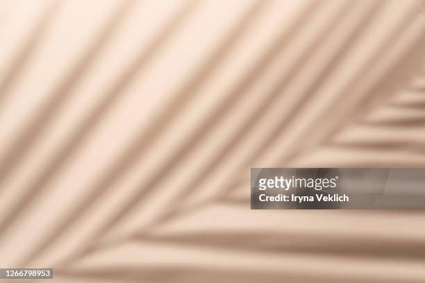 blurred palm leaf shadow wall pastel beige background. - palm tree shadow stock pictures, royalty-free photos & images