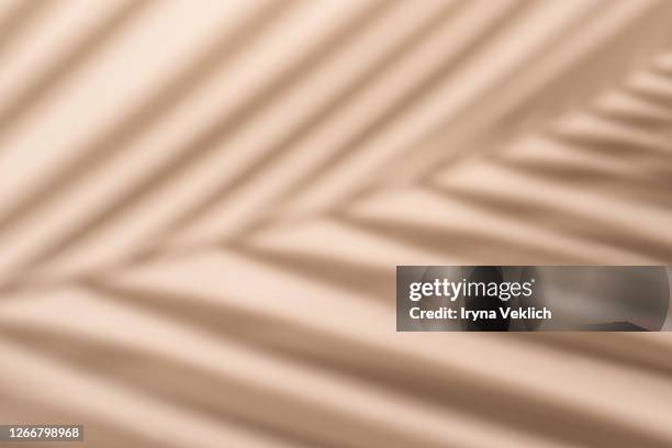 blurred palm leaf shadow wall pastel beige background. - flatlay flowers fotografías e imágenes de stock