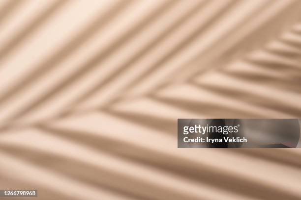 blurred palm leaf shadow wall pastel beige background. - summer spa stock pictures, royalty-free photos & images