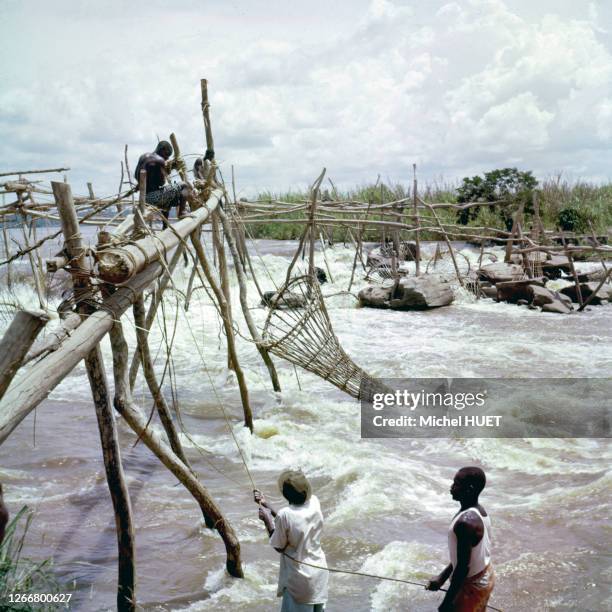 Pêcherie enya sur le fleuve Congo, dans la province Orientale, circa 1960, République démocratique du Congo.