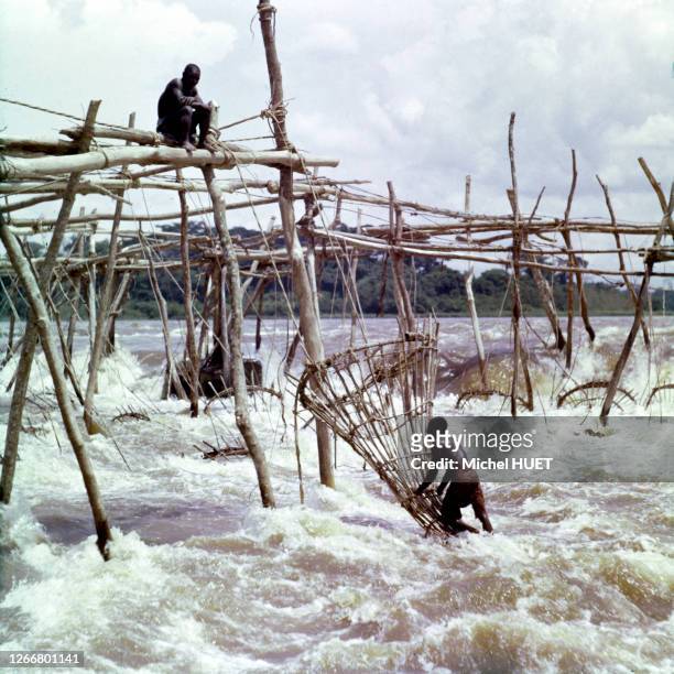 Pêcherie enya sur le fleuve Congo, dans la province Orientale, circa 1960, République démocratique du Congo.