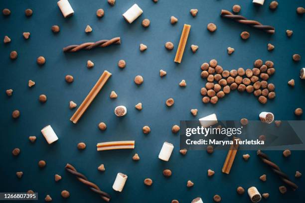 gray background with pet food and sweets. - pet shop bildbanksfoton och bilder