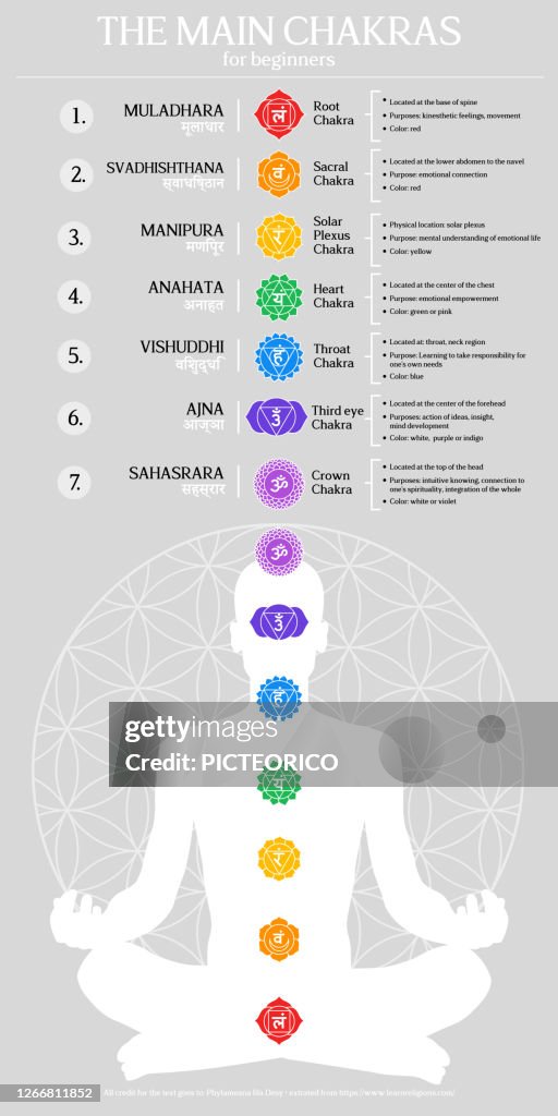 Chakra Functions Chakra Energy Centers Infographic Illustration Seven Main Chakras Chart ...