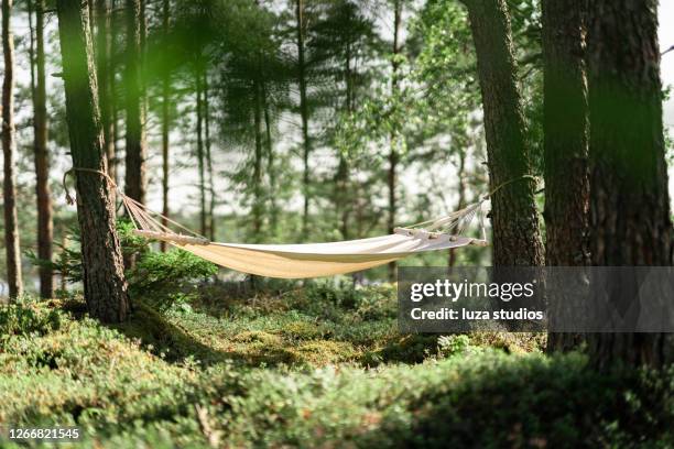 amaca vuota appesa tra due alberi - hammock foto e immagini stock