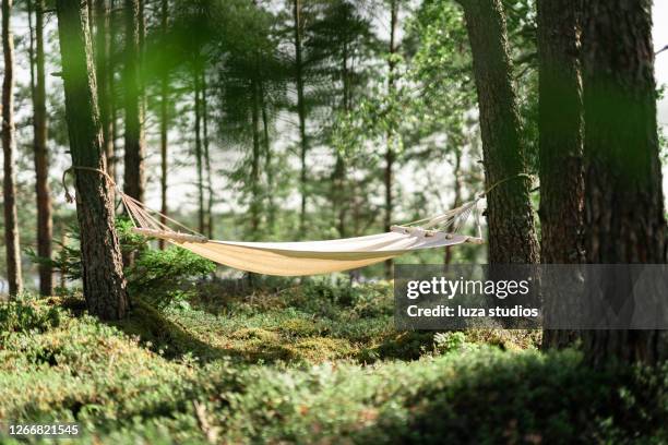 lege hangmat die tussen twee bomen hangt - schommelen bungelen stockfoto's en -beelden