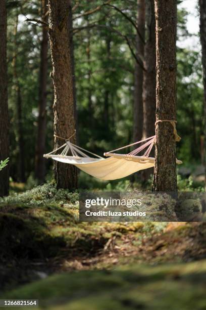 empty hammock hanging between two trees in a forest - tied to tree stock pictures, royalty-free photos & images