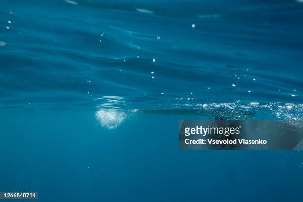 underwater view on the fin of the surf board for paddle boarding. - surf tube stock-fotos und bilder