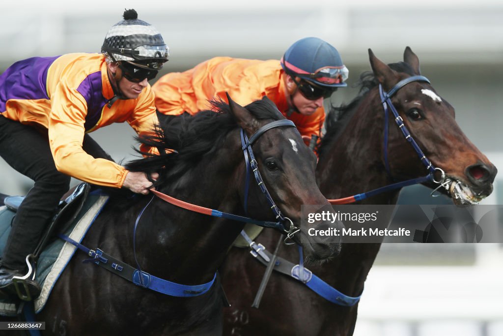 Rosehill Barrier Trials