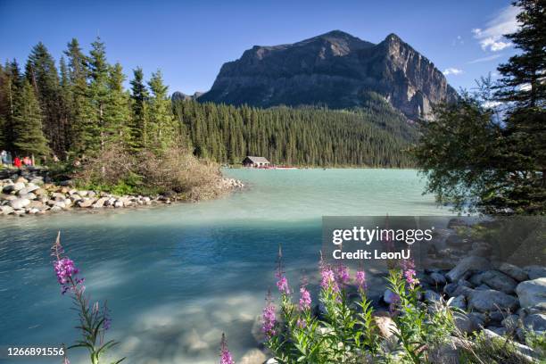 lake louise, banff nationalpark, ab, kanada - see lake minnewanka stock-fotos und bilder