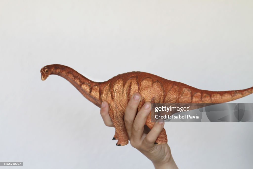 Hand holding toy dinosaur