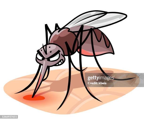 biting mosquito - sucking stock illustrations