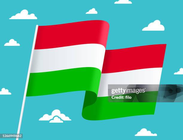 ilustraciones, imágenes clip art, dibujos animados e iconos de stock de bandera de hungría - budapest