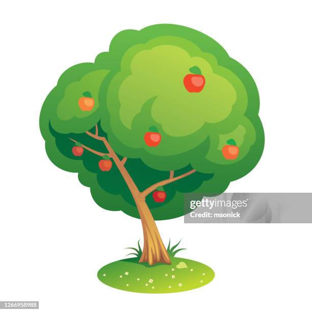 bildbanksillustrationer, clip art samt tecknat material och ikoner med äppelträd - apple tree