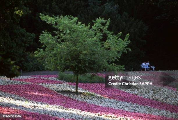 Jardin fleuri à Brême, circa 1990, Allemagne.