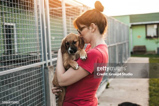 young woman in animal shelter - save a pet stock pictures, royalty-free photos & images