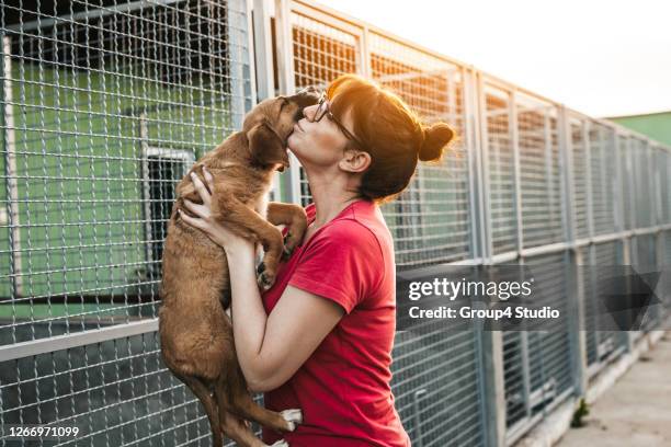 young woman in animal shelter - boxing or wrestling ring or cage animal stock pictures, royalty-free photos & images