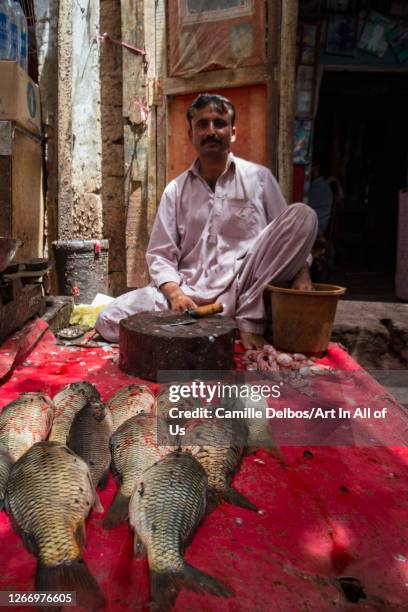 Fishmonger sell fish on a stall in a street in Thatta. The flies are taking part to the feast. On Avril 22, 2016 in Thatta, Sindh, Pakistan.