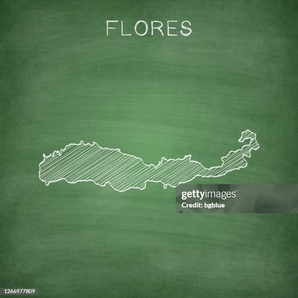 flores map drawn on chalkboard - blackboard - flores stock illustrations