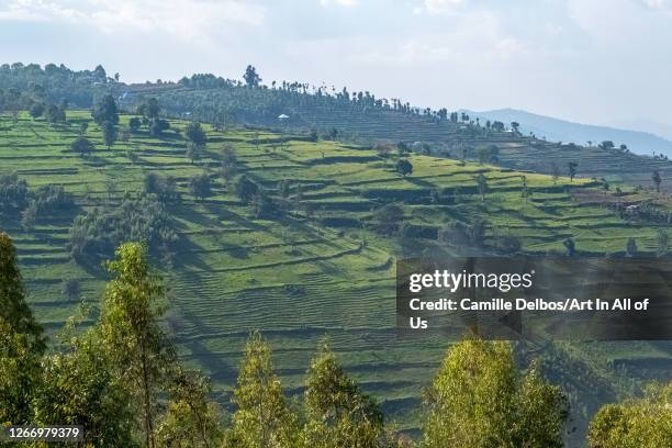 Rwanda Rocks 623 Northern Province Rwanda Stock Photos, High-Res Pictures, and ...
