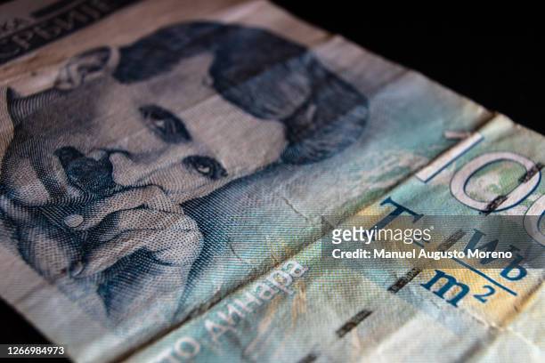 money: close-up of the portrait of nikola tesla on a serbian 100 dinar bank note - dinar stock pictures, royalty-free photos & images