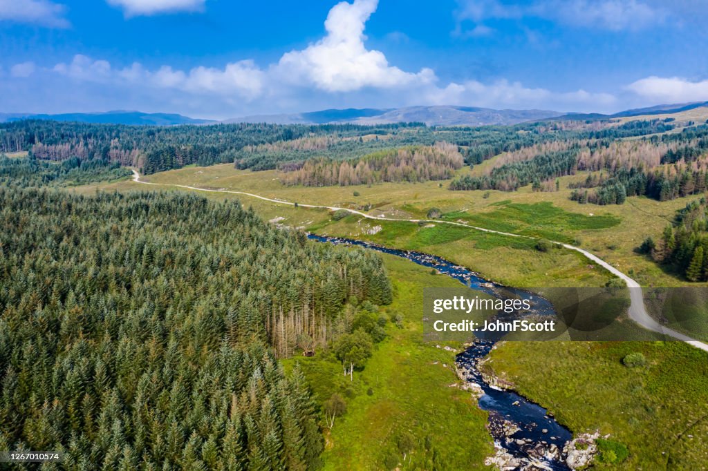 Aerial drone view of a Scottish river and dirt road in an area of forest in east Ayrshire, west Scotland