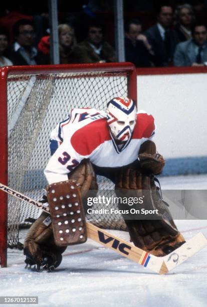 Denis Herron of the Montreal Canadiens defends his goal during an NHL Hockey game circa 1982 at the Montreal Forum in Montreal, Quebec. Herron...