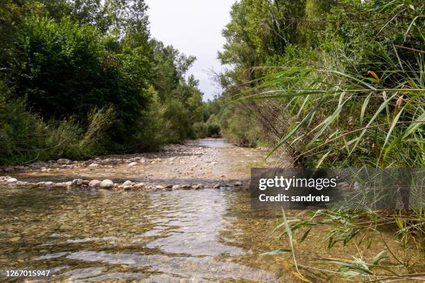 A Rodeado 59 Rodeado Stock Photos, High-Res Pictures, and Images - Getty Images