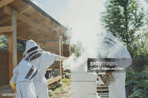 Farmer and two sons work with bee hive