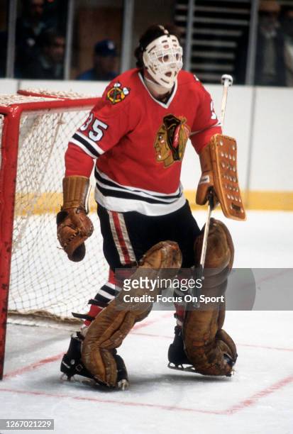 Tony Esposito of the Chicago Blackhawks defends his goal against the New York Rangers during an NHL Hockey game circa 1978 at Madison Square Garden...