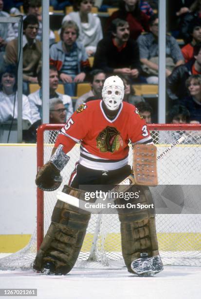 Tony Esposito of the Chicago Blackhawks defends his goal against the New York Rangers during an NHL Hockey game circa 1979 at Madison Square Garden...