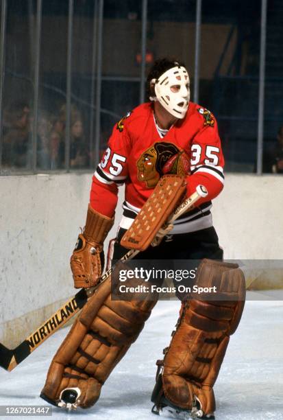 Tony Esposito of the Chicago Blackhawks defends his goal against the Washington Capitals during an NHL Hockey game circa 1975 at the Capital Center...