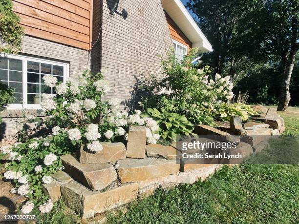 beautiful rock and flower garden alongside country home - hosta stock pictures, royalty-free photos & images