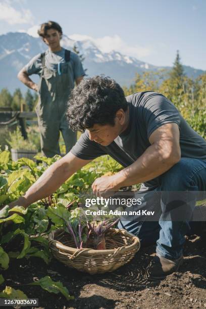 farmer inspects vegetable with son in background - filipino farmer fotografías e imágenes de stock