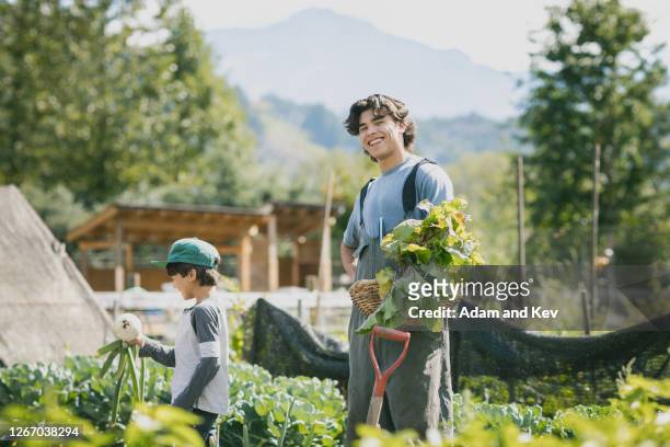 portrait of farm worker harvesting vegetables - filipino farmer 個照片及圖片檔