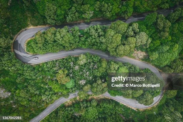 aerial view of winding road in unesco's laurel forest, madeira, portugal - serpentinen stock-fotos und bilder