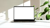 photo of a laptop on a white desk with a green plant